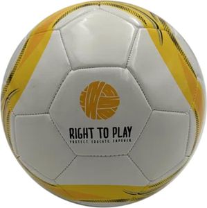 Fußball Pro Trainer r.5