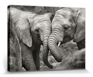 Elefanten Poster Leinwandbild Auf Keilrahmen - Verliebte Elefanten, Marina Cano (60 x 80 cm)