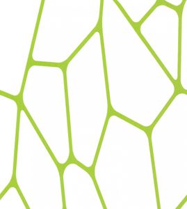 Lars Contzen Vliestapete Micro, grün, weiss, 10,05 m x 0,53 m, 255228, 2552-28
