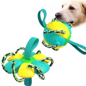 2-in-1-Kauknochen für Hunde, Hundefrisbee für Aktivitäten im Freien(Gelb)