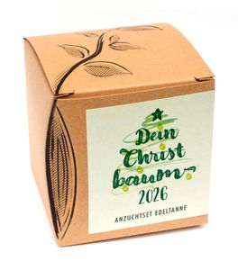 Anzuchtset Dein Christbaum | Tannensamen von Naturkraftwerk
