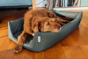 Croozer Hundebett für Dog Enna - Farbe: Moonlight Blue