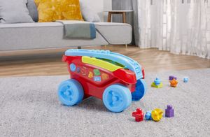 Mega Bloks Bausteinwagen bunt (25 Teile). FVJ47