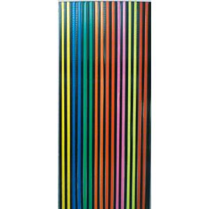 SIDCO Streifenvorhang Türvorhang Fliegenvorhang Fadenvorhang Kunststoff Color 90x200