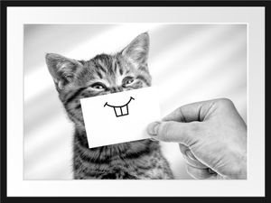 Lustige Katze mit Lächeln auf Papier, MonochromeBilderrahmen mit Galerie-Passepartout / Format: 80x60cm / gerahmt / hochwertige Leinwandbild Alternative