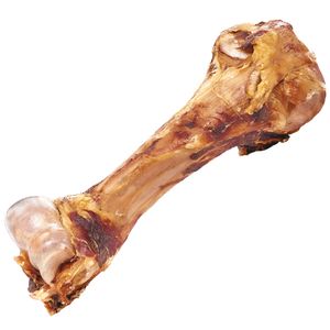 2 Stück - Schecker Dino Knochen - Bullen Oberschenkelknochen - naturbelassen - langes Kauvergnügen