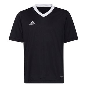 Adidas Trička Entrada 22 Jsy, H57497, Größe: 135