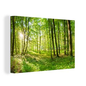 OneMillionCanvasses® - Leinwandbilder - 150x100 cm, Natur - Bäume - Wald - Grün - Sonnenlicht, Wandbilder Kunstdruck Wanddekoration - Foto auf Leinwand - Gemälde auf Holzrahmen