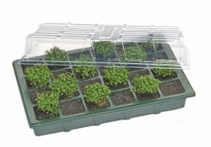 Mini Gewächshaus - für die Anzucht von Samen und Keimlingen