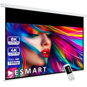ESMART Professional MIMOTO GRAU | Tageslicht-Motorleinwand | 221 x 125 cm (100") 16:9 | Programmierbare Fernbedienung | Vollmaskierung | Heimkino elektrische Beamer Projektionsleinwand Motor Leinwand LCD LED