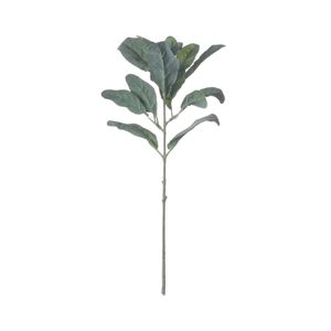 Hill Interiors - Umelá rastlina, jahňacie ucho HI3164 (jedna veľkosť) (zelená)