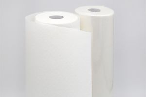Fripa medical roll duo-line+ 5055906 2lg 59cmx50m ws