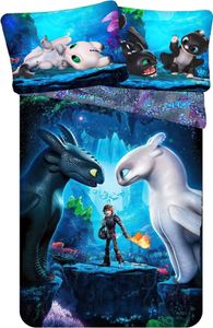 Jerry Fabrics Bavlněné povlečení 140x200 Dragon Jak uvolnit draka Dragons 6007