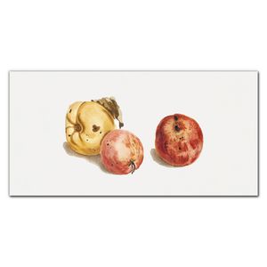 Coloray Obrázek vytištěný na plátně 140x70cm Umělecké tisky Nástěnné umění na plátně Malba na plátno - Ovocná jablka