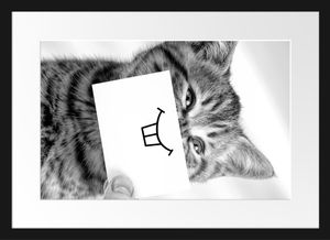 Lustige Katze mit Lächeln auf Papier, MonochromeBilderrahmen mit Galerie-Passepartout / Format: 55x40cm / gerahmt / hochwertige Leinwandbild Alternative
