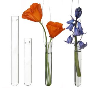 12 Reagenzgläser für Blumen zum hängen, Reagenzglas Vase mit Loch zum aufhängen, Fensterdeko hängend, Hochzeitsdeko, Hängevase Glas (15 cm)