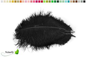 10 Straußenfedern ca. 15-20cm , Farbauswahl:schwarz 030