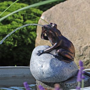 CLGarden Wasserspeier Komplettset Frosch auf einem Stein NSP10E mit strombetriebener Pumpe Springbrunnen Wasserspiel für den Gartenteich