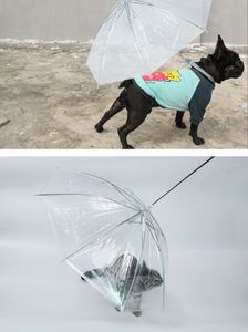 Haustier Regenschirm TeddyHund Haustier Regenschutz niedliche Heimtierbedarf wasserdichter Katzen- und Hundeschirm