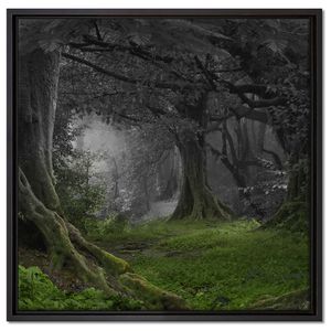 Dschungel im Regenwald Leinwandbild 60x60 cm im Bilderahmen Quadratisch / Wandbild  / Schattenfugenrahmen / Kein Poster