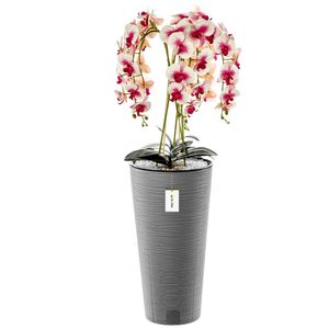 Künstliche Orchidee Kaskaden Blumenstrauß Creme und Rosa im Topf Beton H 110 cm Heimbüro Dekoration, Kunstpflanze Orchidee, Kunstblume, Künstliche Orchidee im Topf