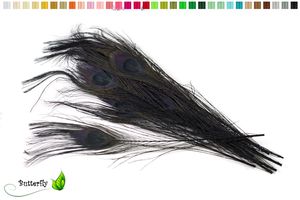 10 echte Pfauenfedern ca. 25-30cm, Farbauswahl:schwarz 030