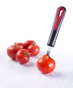 Aushöhllöffel/Tomatenstrunkentferner Gallant mit farbigem