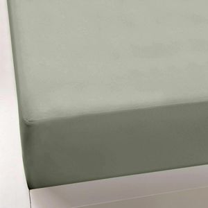 Formesse Bella-Donna Jersey Spannbettlaken 140x200 - 160x220 cm graugrün