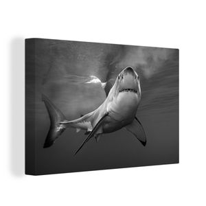 OneMillionCanvasses® - Leinwandbilder - 120x80 cm, Weißer Hai - schwarz und weiß, Wandbilder Kunstdruck Wanddekoration - Wanddekorationen - Wohnzimmer