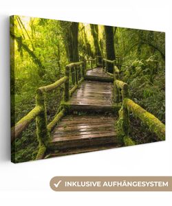 OneMillionCanvasses® - Leinwandbilder - 150x100 cm, Schöner Regenwald und Dschungel, Wandbilder Kunstdruck Wanddekoration