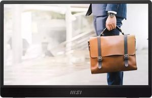 MSI PRO MP161DE - LCD-Monitor - Full HD (1080p) - 40.6 cm (16")