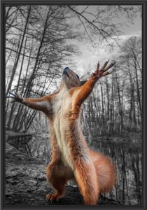 Lustiges Eichhörnchen steht im Wald B&W Detail im Schattenfugen Bilderrahmen / Format: 100x70 im Schattenfugen-Bilderrahmen / Kunstdruck auf hochwertigem Galeriekarton / hochwertige Leinwandbild Alternative
