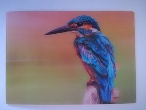 3 D Ansichtskarte Eisvogel, Postkarte Wackelkarte Hologrammkarte, Tier Vogel Vögel