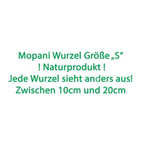 Mopani Wurzel Größe "S" 10cm - 20cm / Aquarium Holz Aquaristik Dekoration Garnelen Pflanzen Terrarium Reptilien Mopani Wurzel Größe "S" 10cm - 20cm / Aquarium Holz Aquaristik Dekoration Garnelen Pflanzen Terrarium Reptilien