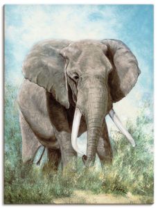 ARTland Leinwandbilder Elefant Größe: 30x40 cm
