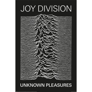 Joy Division - Poster "Unknown Pleasures" PM5820 (91,5 cm x 61 cm) (Schwarz/Weiß)