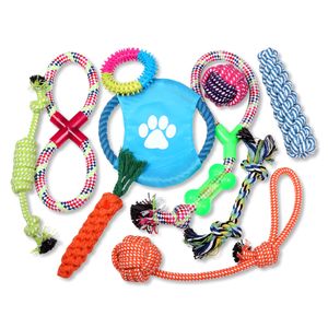 Schramm® Hundespielzeug 10-teilig Kauspielzeug für Welpen & kleine Hunde interaktiv bunt Hunde Spielzeug Tauschspielzeug