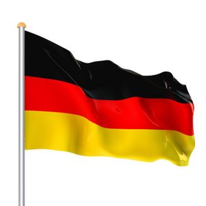 SWANEW Aluminium Fahnenmast 6,50m inkl Seilzug inkl Deutschlandfahne Flaggenmast Mast Flagge Alu