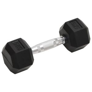 vidaXL činky 2 ks. 10 kg litinové činky vidaXL činky 2 ks. 10 kg litinové činky