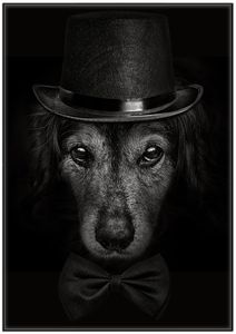 Wallario Wandbild Eleganter Hund mit Zylinder in schwarz-weiß, Größe: 70,30 x 100,30 cm, Poster mit schwarzem Aluminiumrahmen