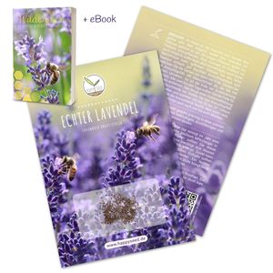 300x Lavendel Samen mit hoher Keimrate - Vielseitig einsetzbare Heilpflanze & ideal für Bienen und Schmetterlinge (inkl. GRATIS eBook)