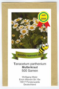 Mutterkraut - Tanacetum parthenium - Fieberkraut - Arznei- + Zierpflanze - 500 Samen