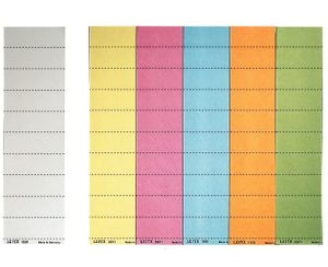 LEITZ Blanko Beschriftungsschildchen (B)60 x (H)21 mm orange 4-zeilig 100 Stück