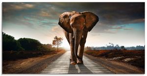 ARTland Glasbild Ein Elefant läuft auf der Straße Glasbild Größe: 100x50 cm