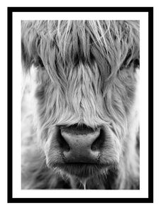 Gerahmtes Bild LORNA, 30x40 cm, 'Cow portrait', Rahmen: schwarz