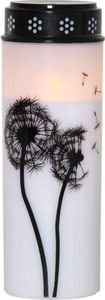 Star Trading LED Kerze Grabkerze Pusteblumen 6/18h Timer 7x21cm bis 2500h