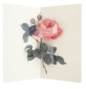 UWE LUXE Grußkarten Artisan Rose 3 D Pop Up Karte ca 10 x 18 cm mit Umschlag