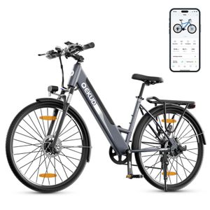 Qekud F26pro 26'' E-Bike, Elektrofahrrad Trekkingrad e-City Fahrrad Qekud K26 mit 36V 12.5Ah Lithium Batterie, 250W Motor mit APP Qekud F26pro 26'' E-Bike, Elektrofahrrad Trekkingrad e-City Fahrrad Qekud K26 mit 36V 12.5Ah Lithium Batterie, 250W Motor mit APP