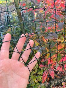 Gartennetz Teichnetz 10 x 10m Vogelschutznetz Laubschutznetz Obstbaumnetz Schutznetz sehr stark 15 g/m2