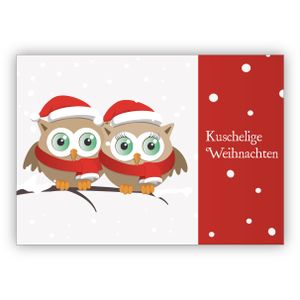 4x Romantische Weihnachtskarte mit süßen Eulen: kuschelige Weihnachten